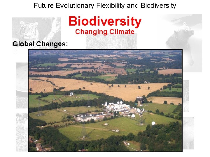 Future Evolutionary Flexibility and Biodiversity Changing Climate Global Changes: 