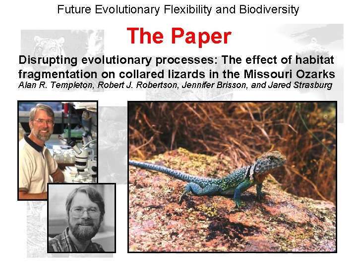 Future Evolutionary Flexibility and Biodiversity The Paper Disrupting evolutionary processes: The effect of habitat