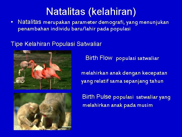 Natalitas (kelahiran) • Natalitas merupakan parameter demografi, yang menunjukan penambahan individu baru/lahir pada populasi