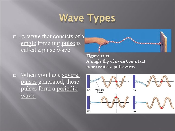 Wave Types A wave that consists of a single traveling pulse is called a