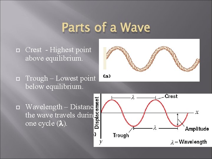 Parts of a Wave Crest - Highest point above equilibrium. Trough – Lowest point