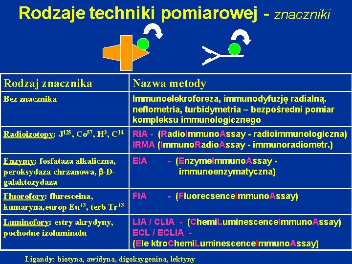 Rodzaje techniki pomiarowej - znaczniki Rodzaj znacznika Nazwa metody Bez znacznika Immunoelekroforeza, immunodyfuzję radialną.