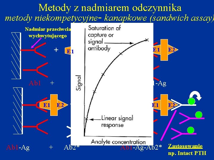 Metody z nadmiarem odczynnika metody niekompetycyjne- kanapkowe (sandwich assay) Nadmiar przeciwciała wychwytującego + Ab