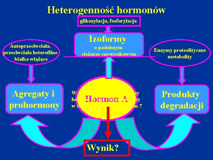 Heterogenność hormonów glikozylacja, fosforylacja Autoprzeciwciała, przeciwciała heterofilne białka wiążące Agregaty i prohormony Izoformy o