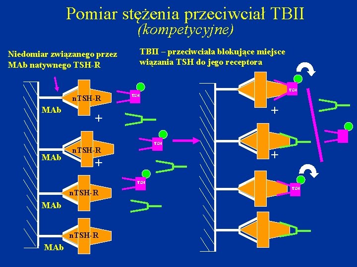 Pomiar stężenia przeciwciał TBII (kompetycyjne) TBII – przeciwciała blokujące miejsce wiązania TSH do jego