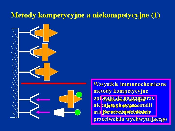 Metody kompetycyjne a niekompetycyjne (1) Wszystkie immunochemiczne metody kompetycyjne opierają się naantygen pomiarze Znakowany