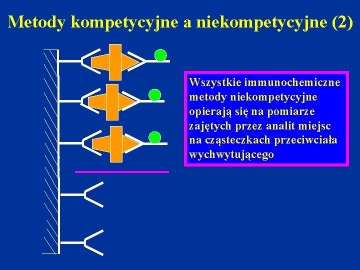 Metody kompetycyjne a niekompetycyjne (2) Wszystkie immunochemiczne metody niekompetycyjne opierają się na pomiarze zajętych