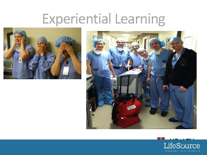 Experiential Learning 