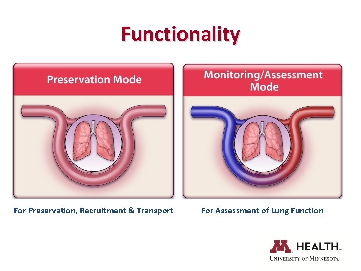 Functionality For Preservation, Recruitment & Transport For Assessment of Lung Function 