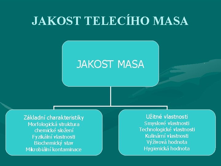 JAKOST TELECÍHO MASA JAKOST MASA Základní charakteristiky Morfologická struktura chemické složení Fyzikální vlastnosti Biochemický