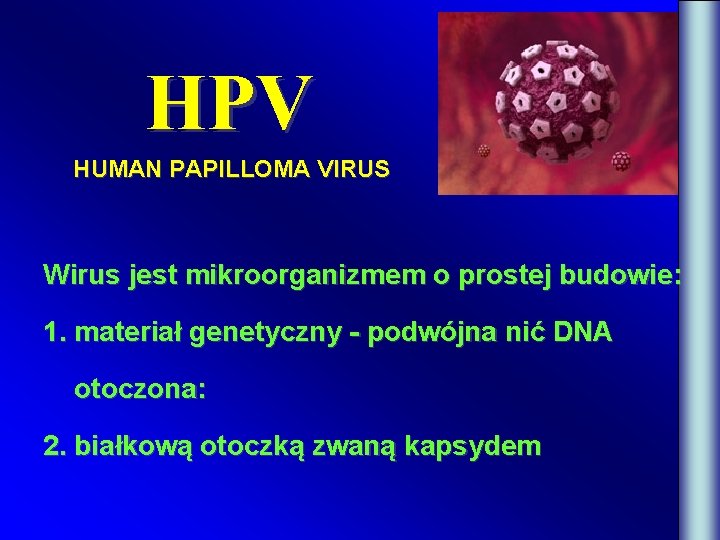 HPV HUMAN PAPILLOMA VIRUS Wirus jest mikroorganizmem o prostej budowie: 1. materiał genetyczny -