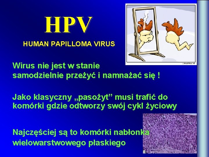 HPV HUMAN PAPILLOMA VIRUS Wirus nie jest w stanie samodzielnie przeżyć i namnażać się