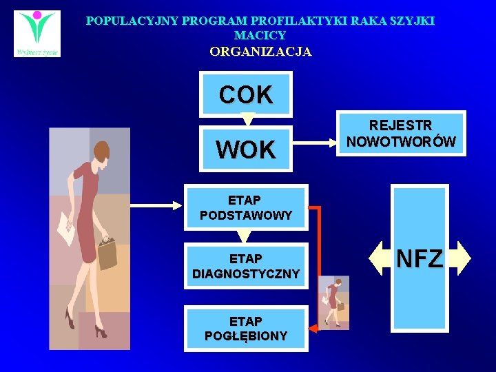 POPULACYJNY PROGRAM PROFILAKTYKI RAKA SZYJKI MACICY ORGANIZACJA COK WOK REJESTR NOWOTWORÓW ETAP PODSTAWOWY ETAP