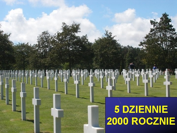  5 DZIENNIE 2000 ROCZNIE 