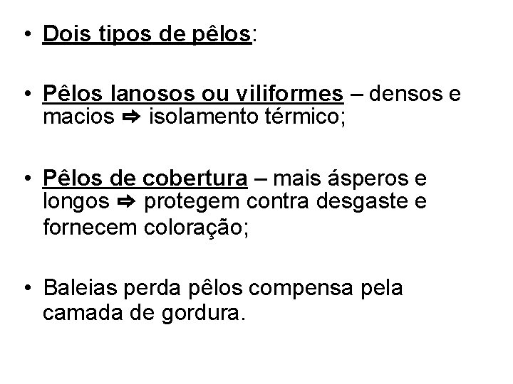  • Dois tipos de pêlos: • Pêlos lanosos ou viliformes – densos e