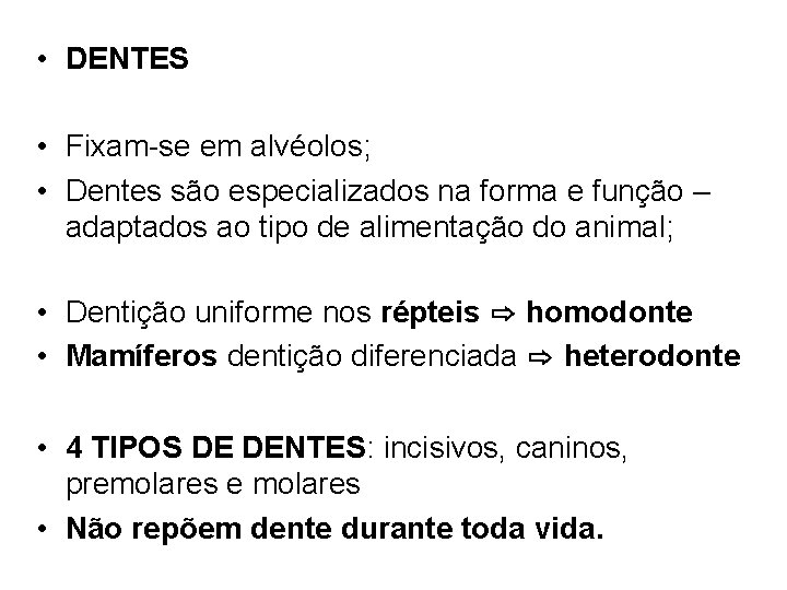  • DENTES • Fixam-se em alvéolos; • Dentes são especializados na forma e