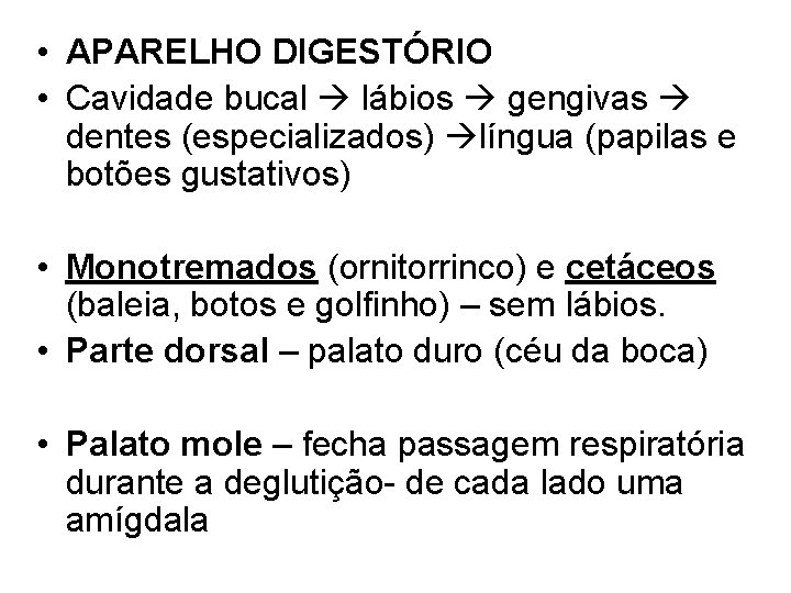  • APARELHO DIGESTÓRIO • Cavidade bucal lábios gengivas dentes (especializados) língua (papilas e