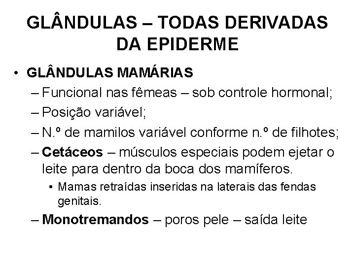 GL NDULAS – TODAS DERIVADAS DA EPIDERME • GL NDULAS MAMÁRIAS – Funcional nas