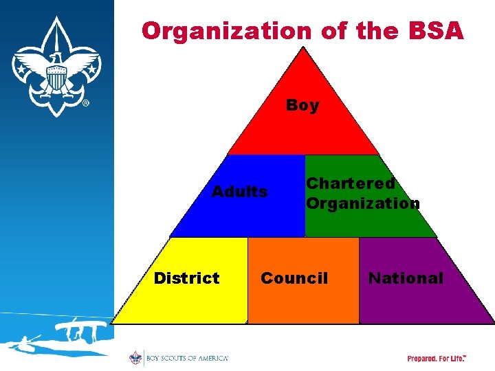 Organization of the BSA Boy Adults District Chartered Organization Council National 