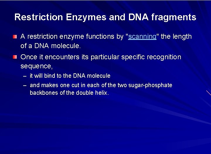 Restriction Enzymes and DNA fragments A restriction enzyme functions by "scanning" the length of