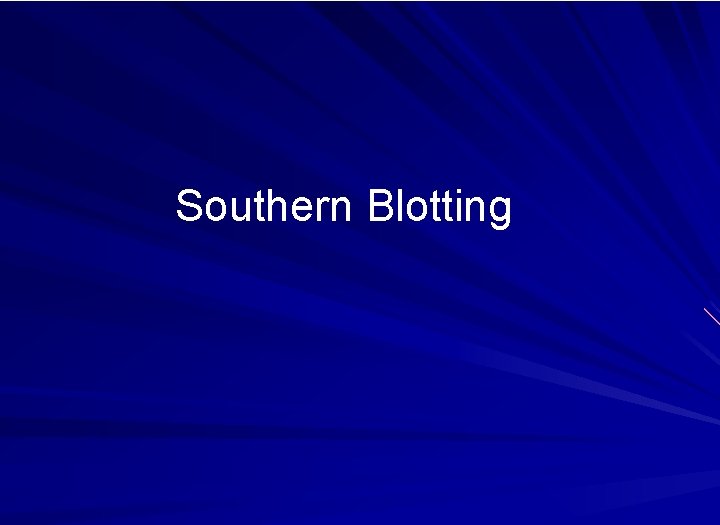 Southern Blotting 