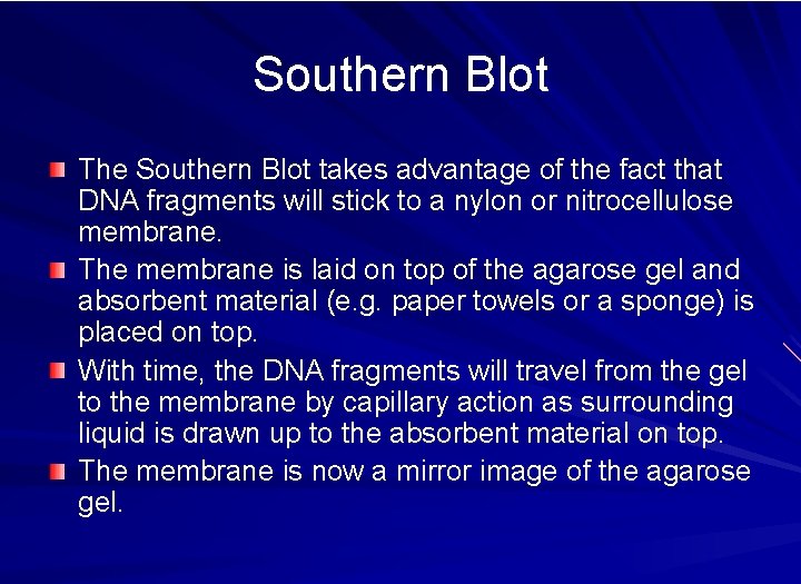 Southern Blot The Southern Blot takes advantage of the fact that DNA fragments will