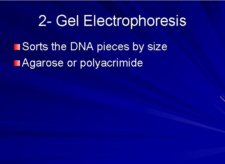 2 - Gel Electrophoresis Sorts the DNA pieces by size Agarose or polyacrimide 