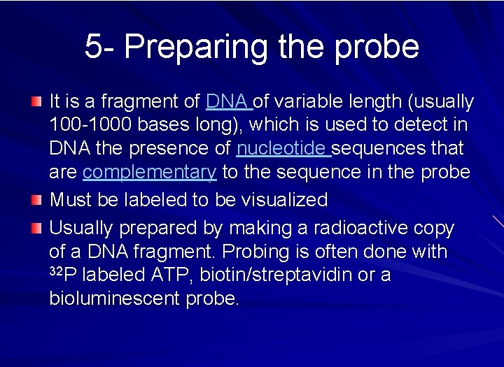 5 - Preparing the probe It is a fragment of DNA of variable length