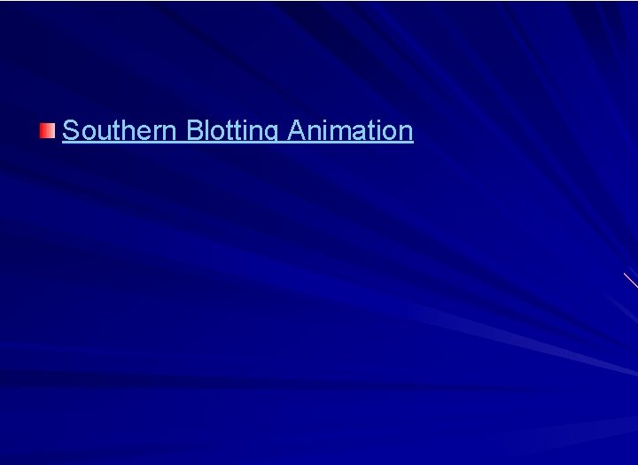 Southern Blotting Animation 