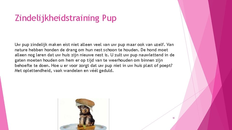 Zindelijkheidstraining Pup Uw pup zindelijk maken eist niet alleen veel van uw pup maar