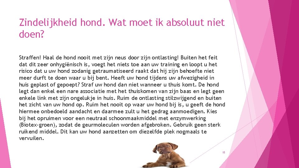 Zindelijkheid hond. Wat moet ik absoluut niet doen? Straffen! Haal de hond nooit met