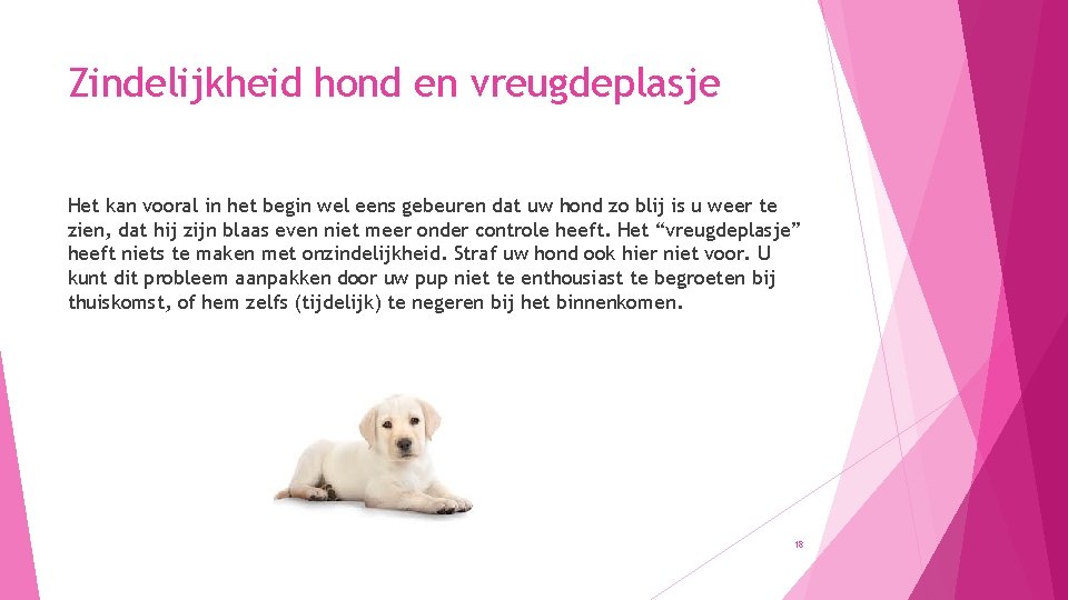 Zindelijkheid hond en vreugdeplasje Het kan vooral in het begin wel eens gebeuren dat