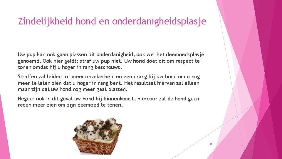 Zindelijkheid hond en onderdanigheidsplasje Uw pup kan ook gaan plassen uit onderdanigheid, ook wel