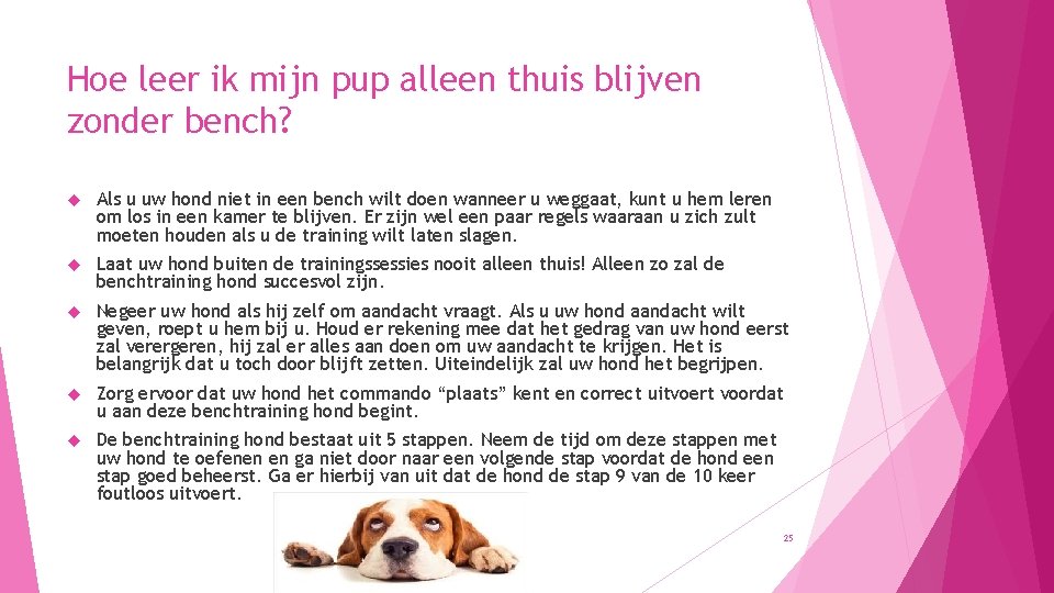 Hoe leer ik mijn pup alleen thuis blijven zonder bench? Als u uw hond