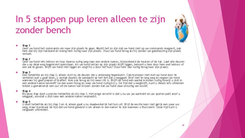 In 5 stappen pup leren alleen te zijn zonder bench Stap 1 Geef uw