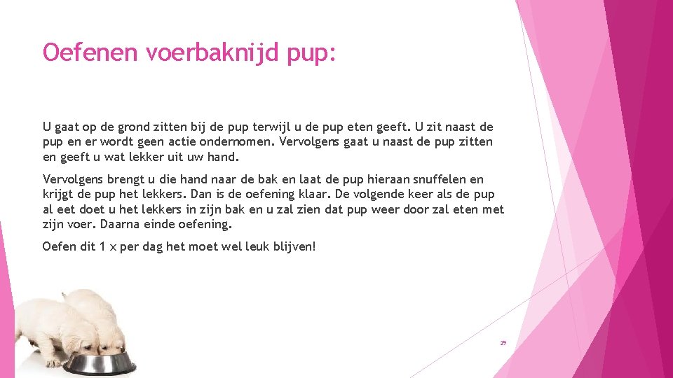 Oefenen voerbaknijd pup: U gaat op de grond zitten bij de pup terwijl u