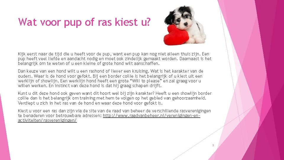 Wat voor pup of ras kiest u? Kijk eerst naar de tijd die u