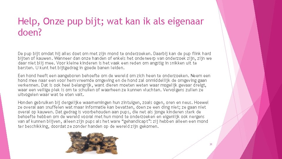 Help, Onze pup bijt; wat kan ik als eigenaar doen? De pup bijt omdat