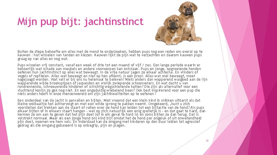 Mijn pup bijt: jachtinstinct Buiten de diepe behoefte om alles met de mond te