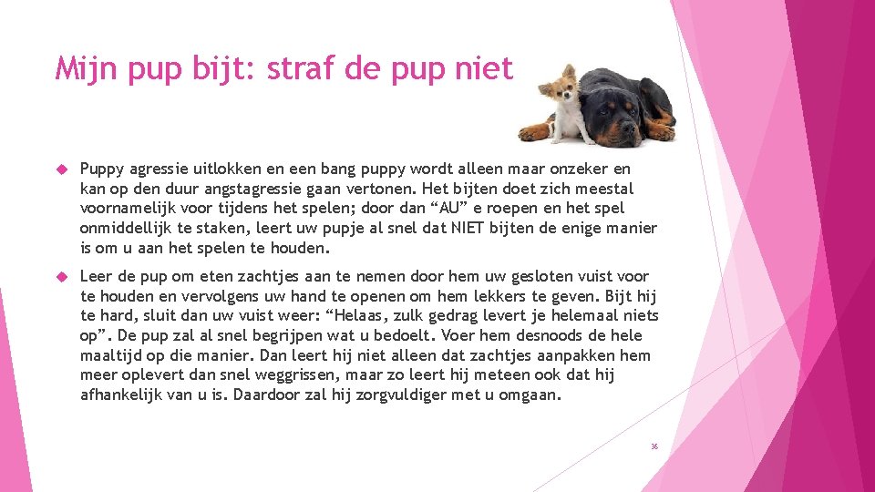 Mijn pup bijt: straf de pup niet Puppy agressie uitlokken en een bang puppy