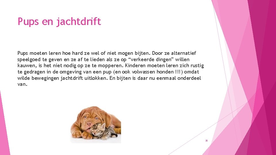 Pups en jachtdrift Pups moeten leren hoe hard ze wel of niet mogen bijten.