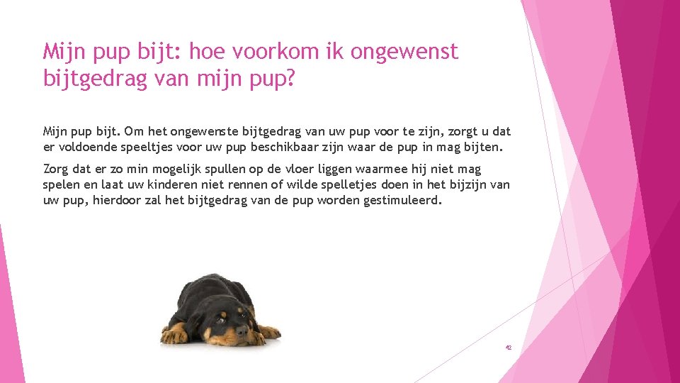 Mijn pup bijt: hoe voorkom ik ongewenst bijtgedrag van mijn pup? Mijn pup bijt.