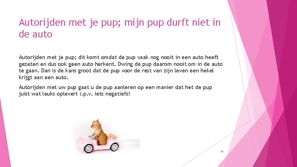 Autorijden met je pup; mijn pup durft niet in de auto Autorijden met je