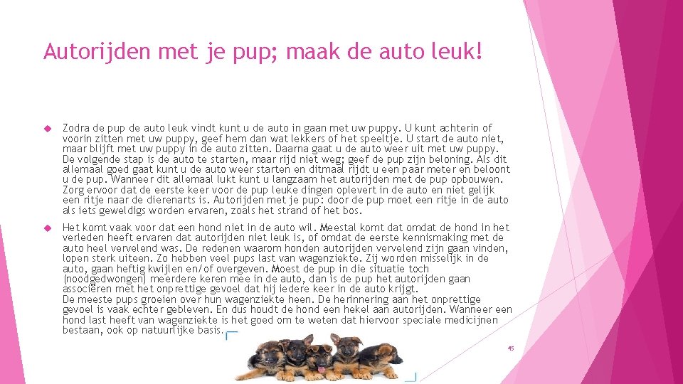 Autorijden met je pup; maak de auto leuk! Zodra de pup de auto leuk