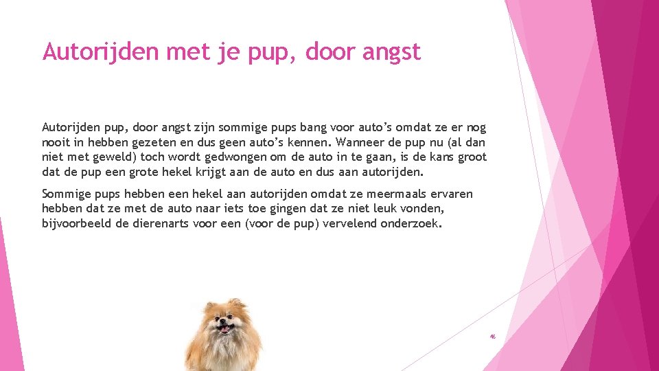 Autorijden met je pup, door angst Autorijden pup, door angst zijn sommige pups bang