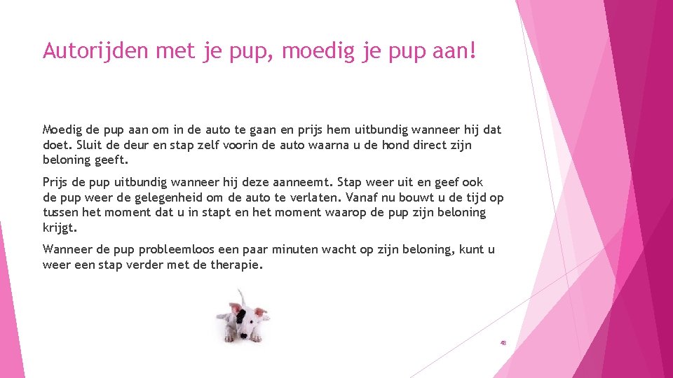 Autorijden met je pup, moedig je pup aan! Moedig de pup aan om in