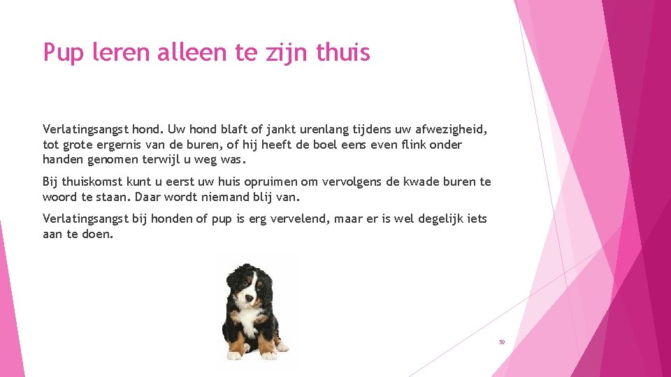 Pup leren alleen te zijn thuis Verlatingsangst hond. Uw hond blaft of jankt urenlang