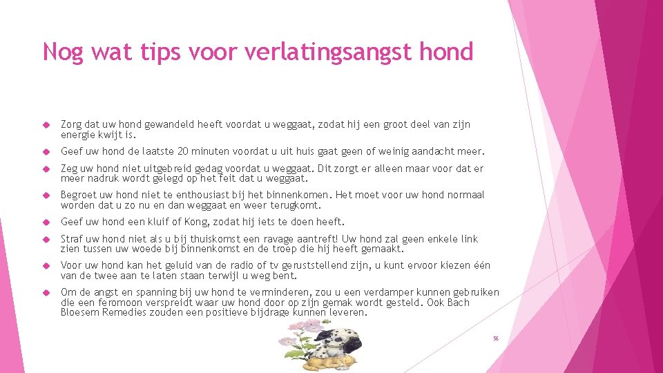 Nog wat tips voor verlatingsangst hond Zorg dat uw hond gewandeld heeft voordat u