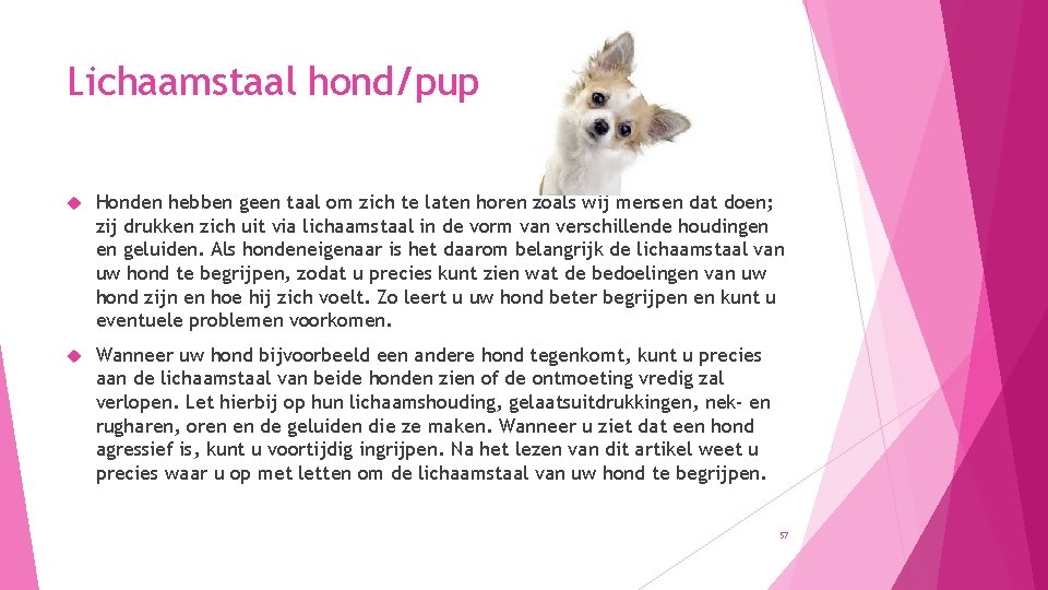 Lichaamstaal hond/pup Honden hebben geen taal om zich te laten horen zoals wij mensen