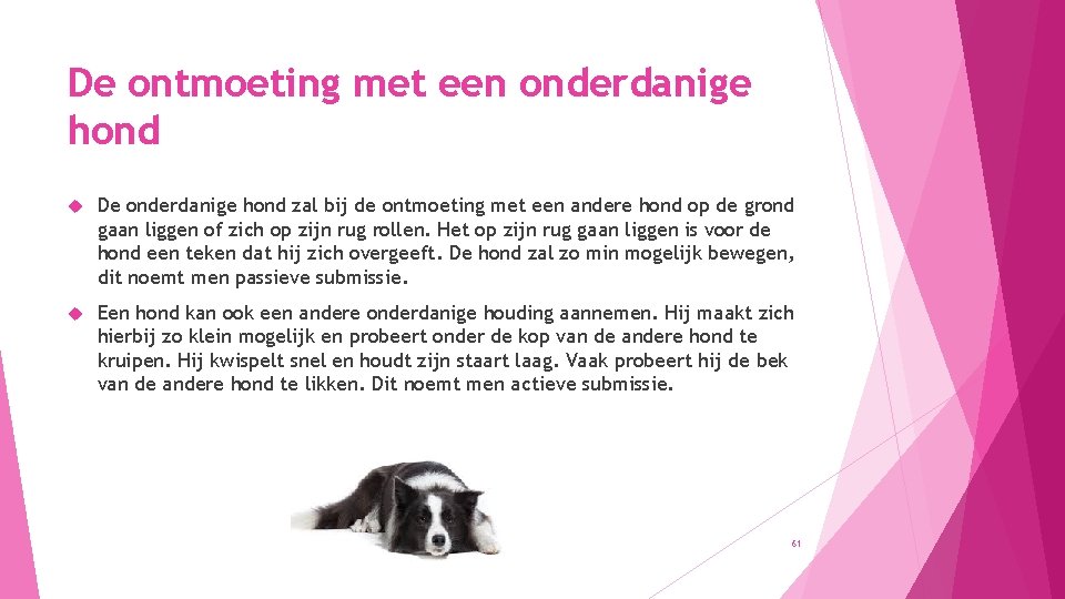 De ontmoeting met een onderdanige hond De onderdanige hond zal bij de ontmoeting met